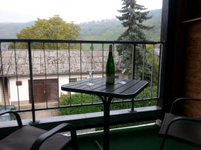 Отель Pleasing Apartment in Traben Trarbach with Balcony  Вольф